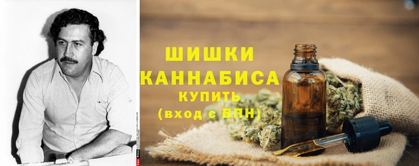 PSILOCYBIN Арсеньев