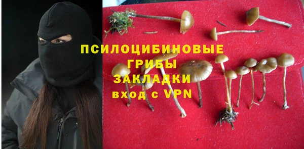 мет Аркадак