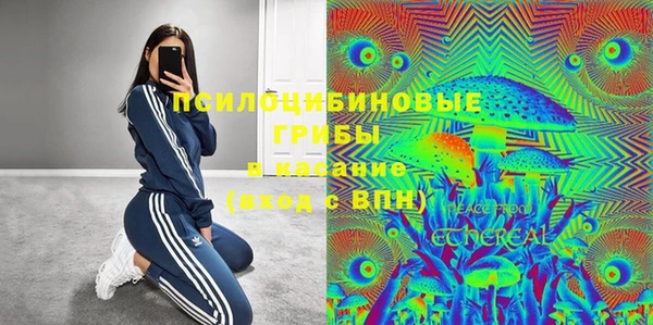PSILOCYBIN Арсеньев