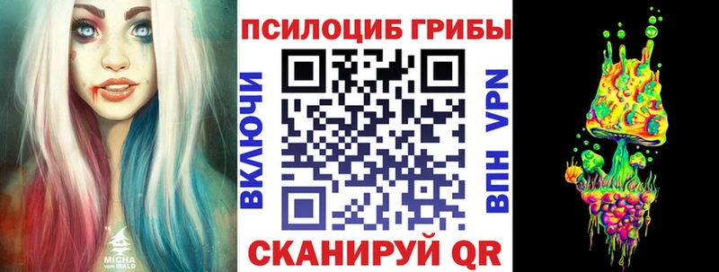 Галлюциногенные грибы GOLDEN TEACHER  Купить  Татарск 
